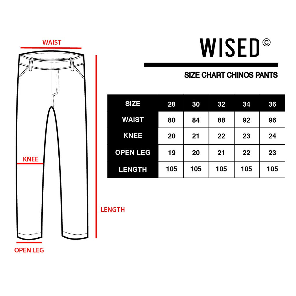 WISED  SCOUT BLACK  CHINO PANTS