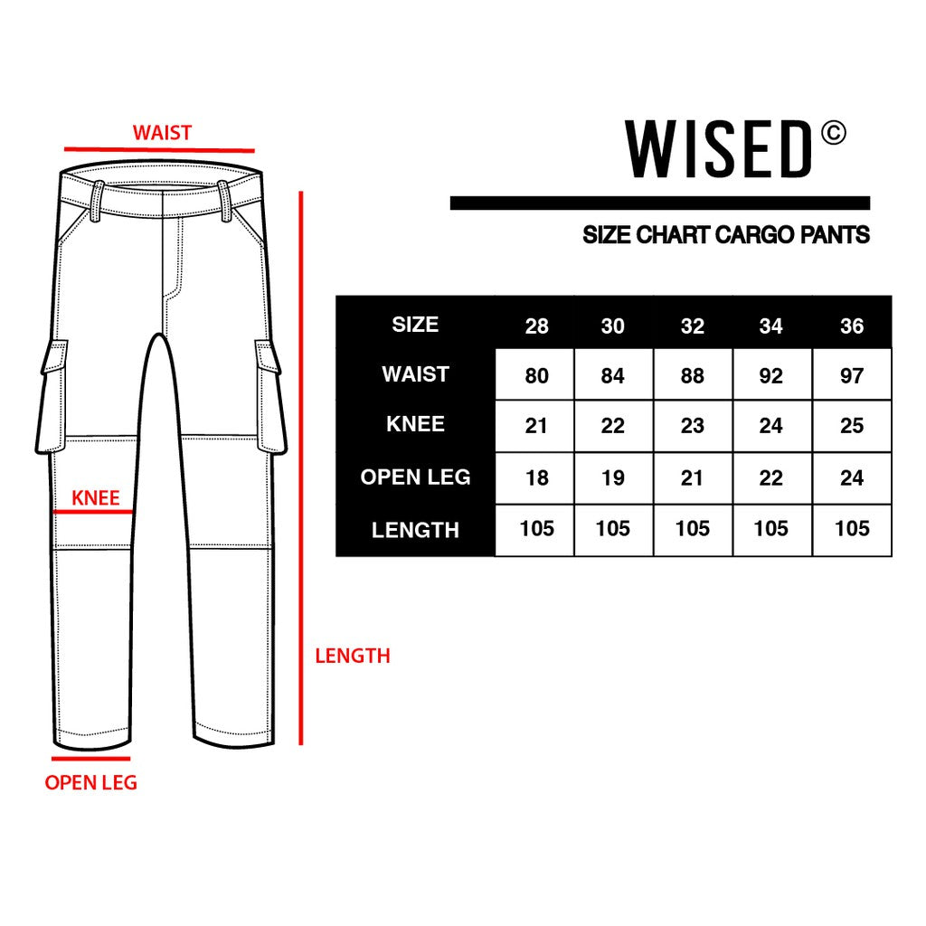 WISED  TROOPS BLACK  CARGO PANTS