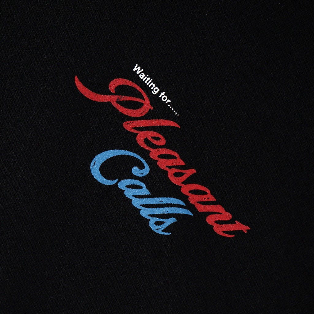 WISED  |  PLEASANT CALLS  | HOODIE