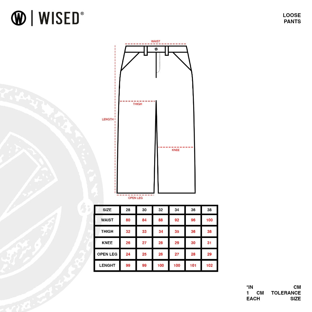 WISED | DEFEND | CARGO PANTS TWILL LOOSE FIT