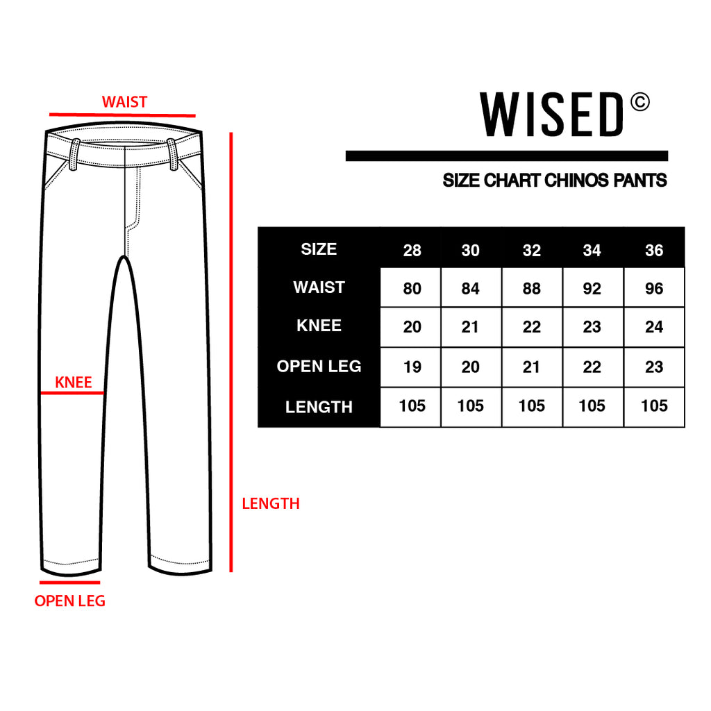 WISED  SCOUT KHAKI  CHINO PANTS