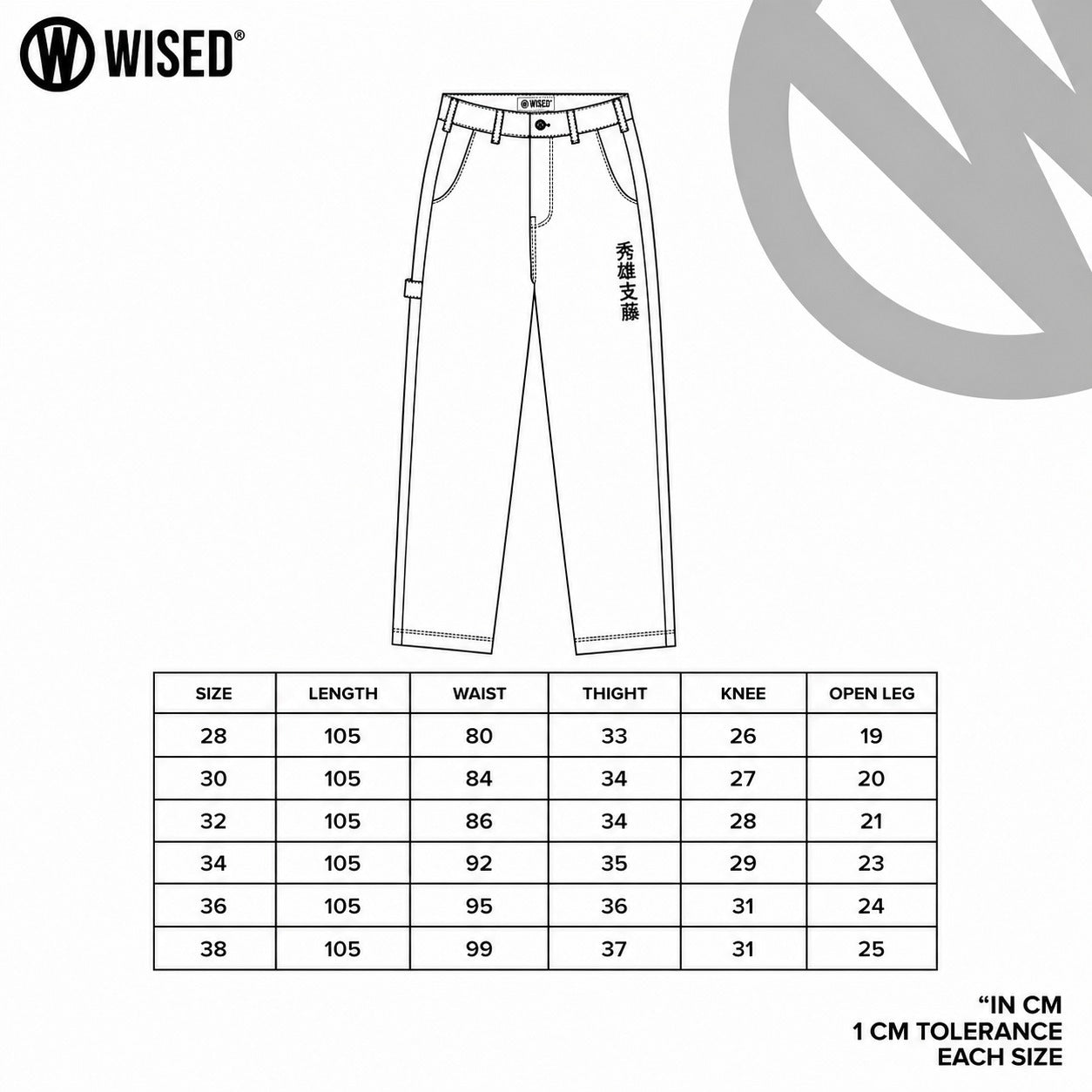 WISED | RAIDEN | CARPENTER PANTS