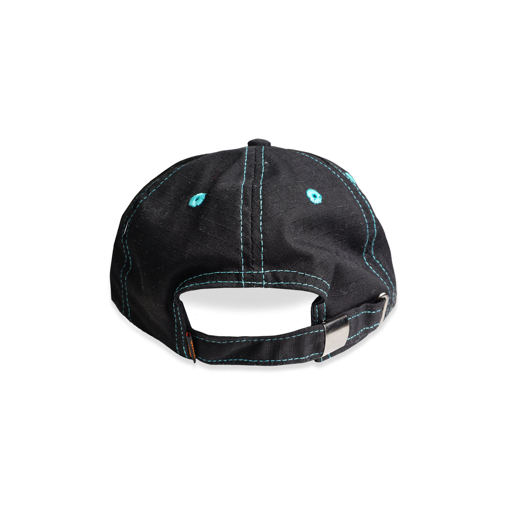 WISED | ACENT | 6 PANEL HAT