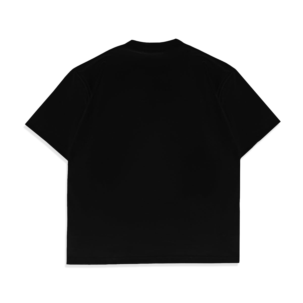 WISED |  AGUILA | T-SHIRT