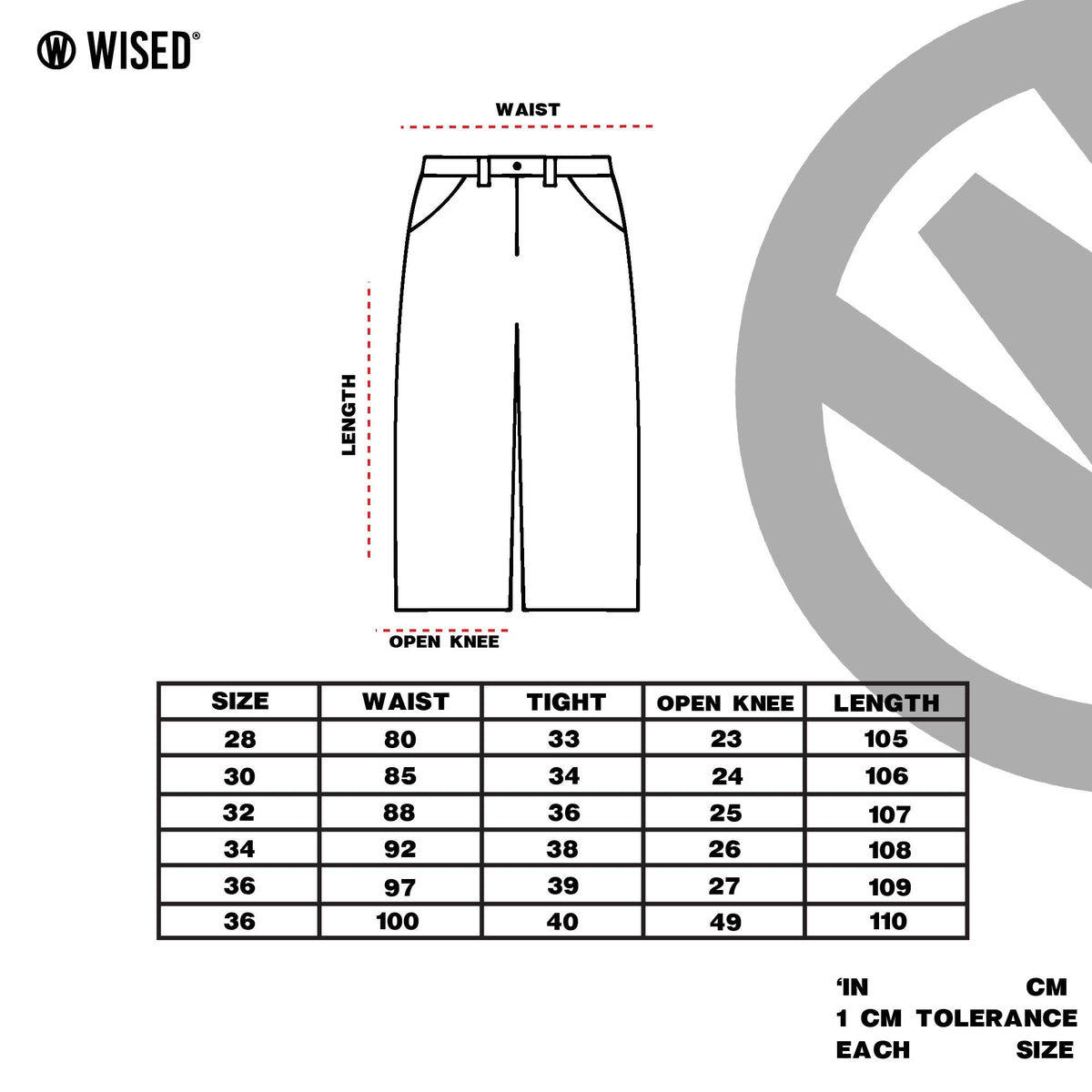 WISED | DAWN | DENIM PANTS BAGGY FIT