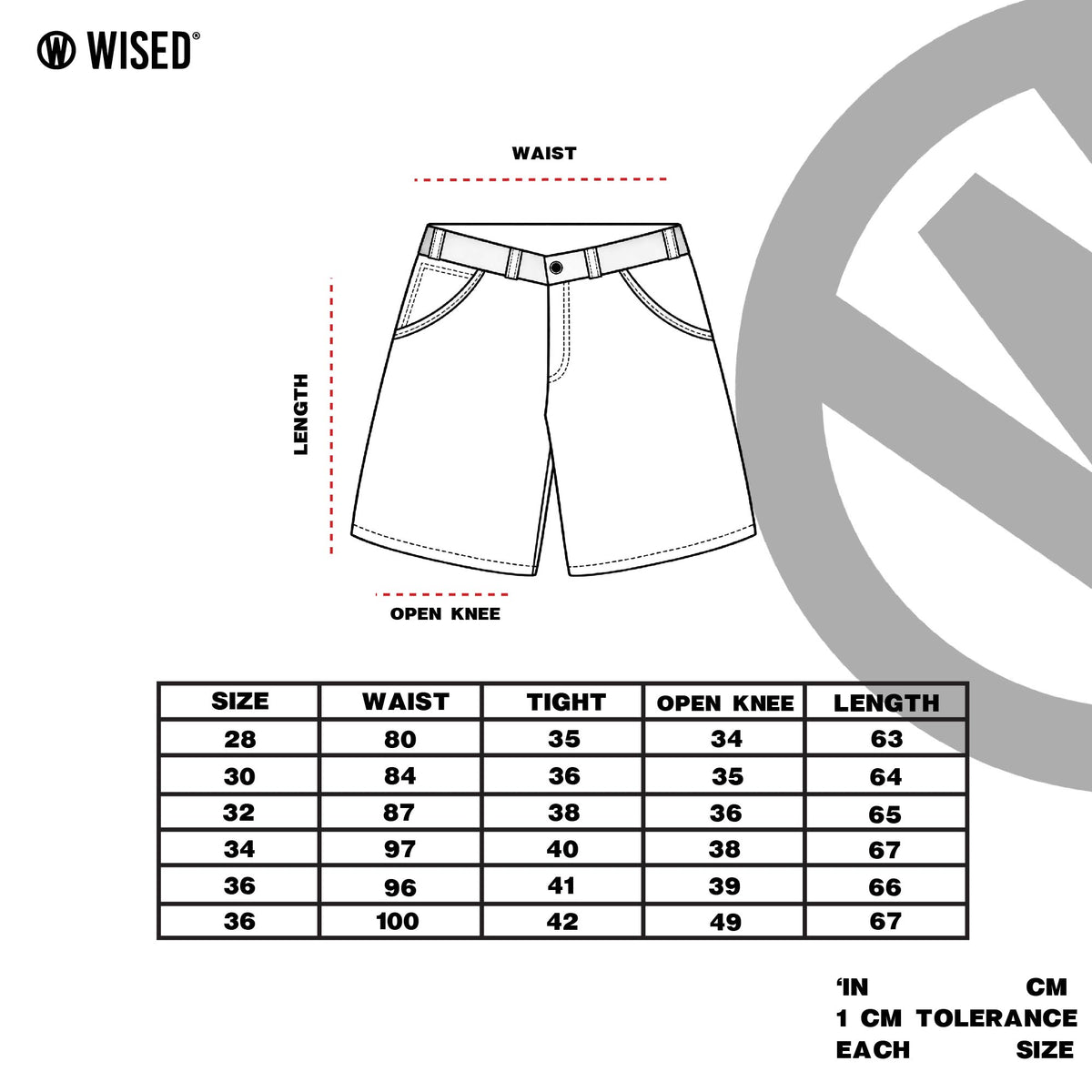 WISED | OBLIVION | JORTS PANTS